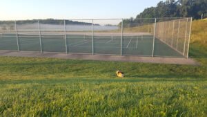 Soccer Field image 1