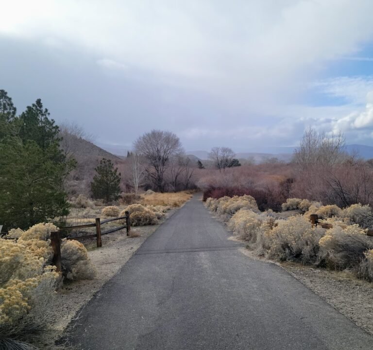 Soccer Field image 2