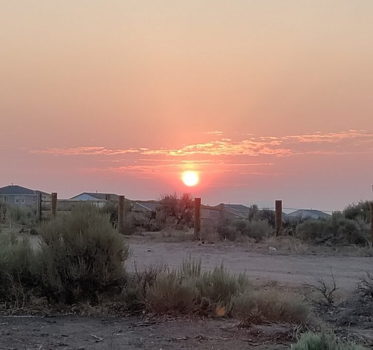 Soccer Field image 2