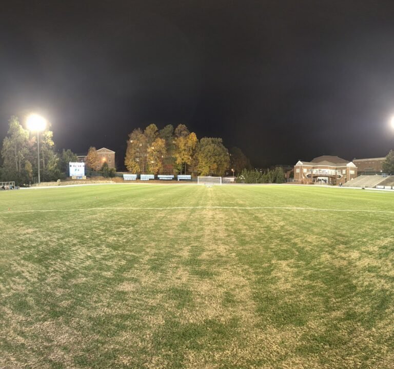 Soccer Field image 3