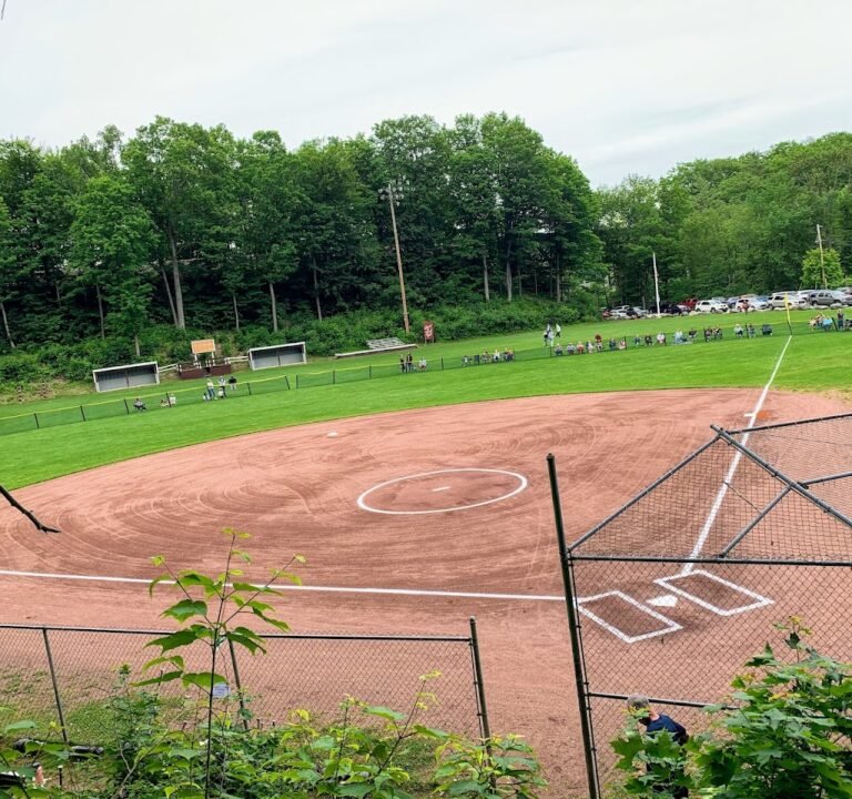 Soccer Field image 3