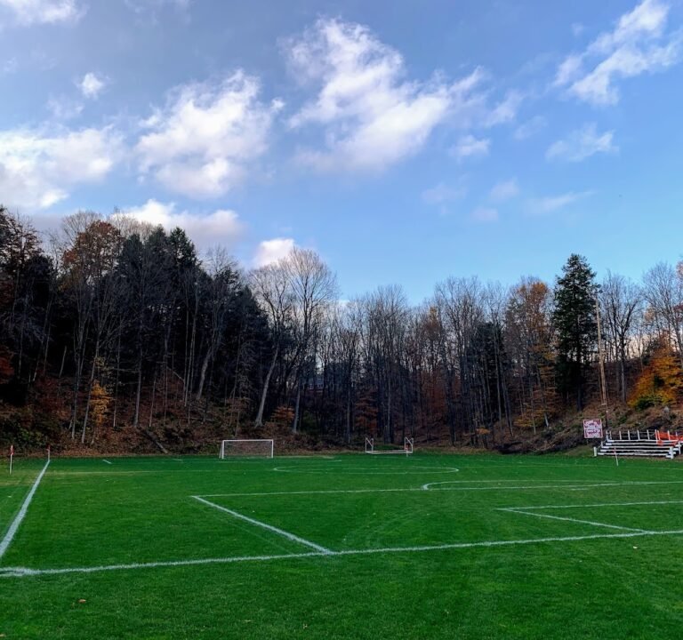 Soccer Field image 2