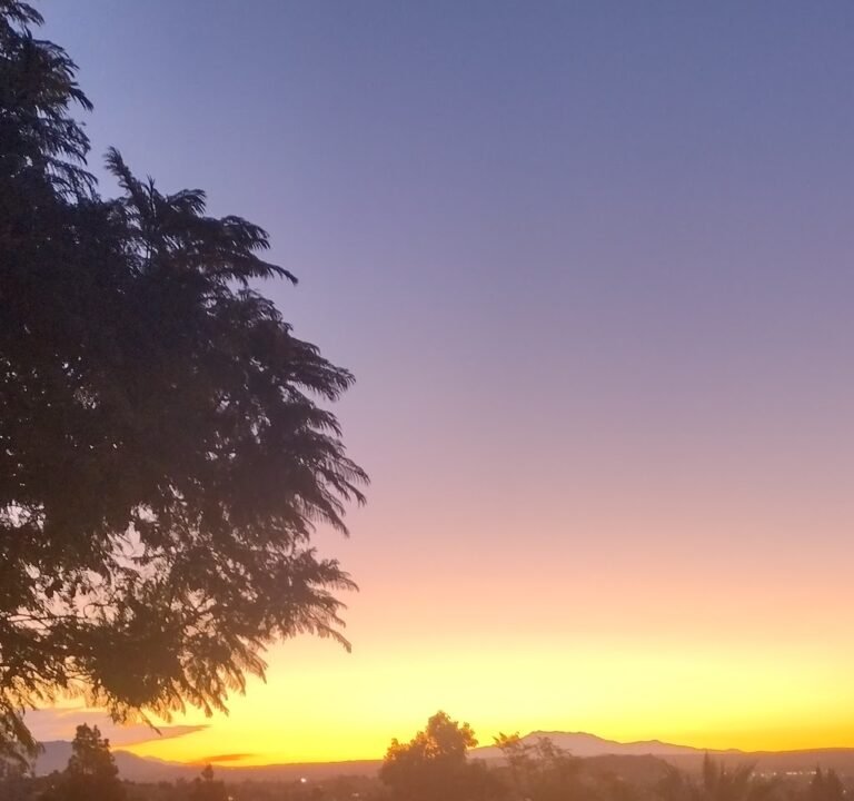 Soccer Field image 3