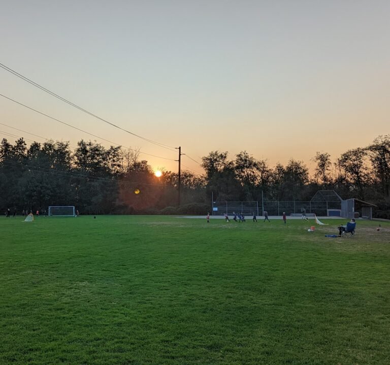 Soccer Field image 2