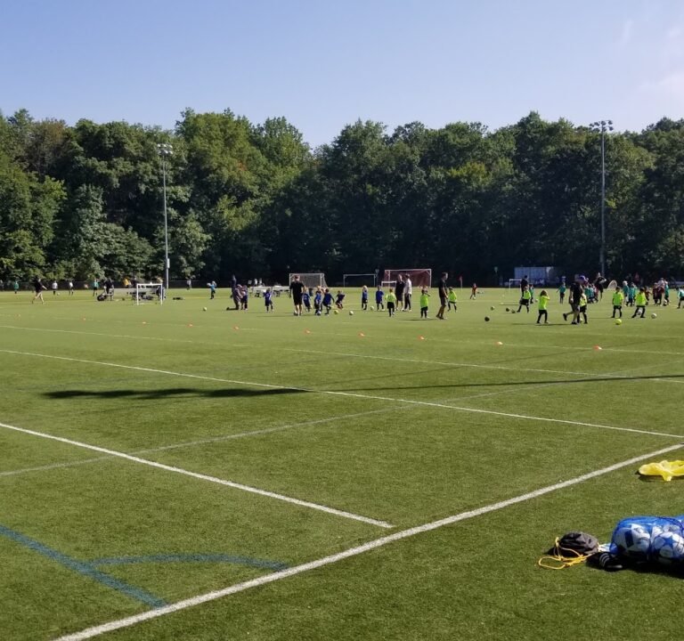 Soccer Field image 2