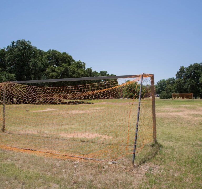 Soccer Field image 3