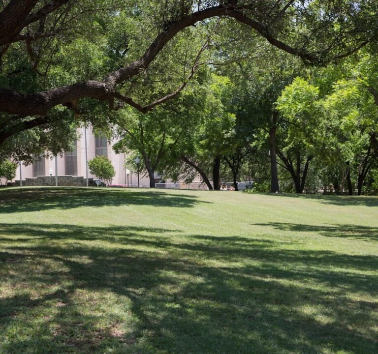Soccer Field image 2