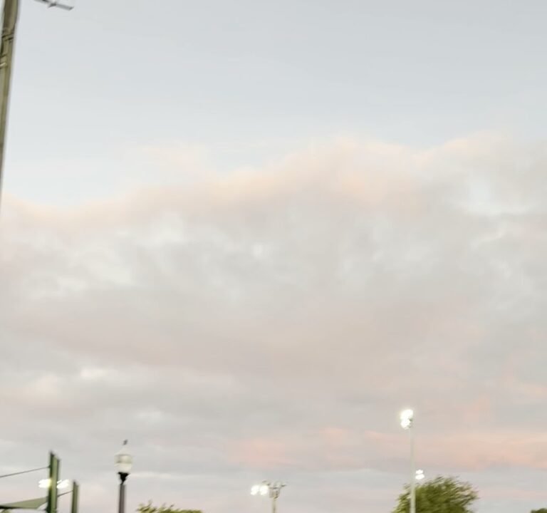 Soccer Field image 4