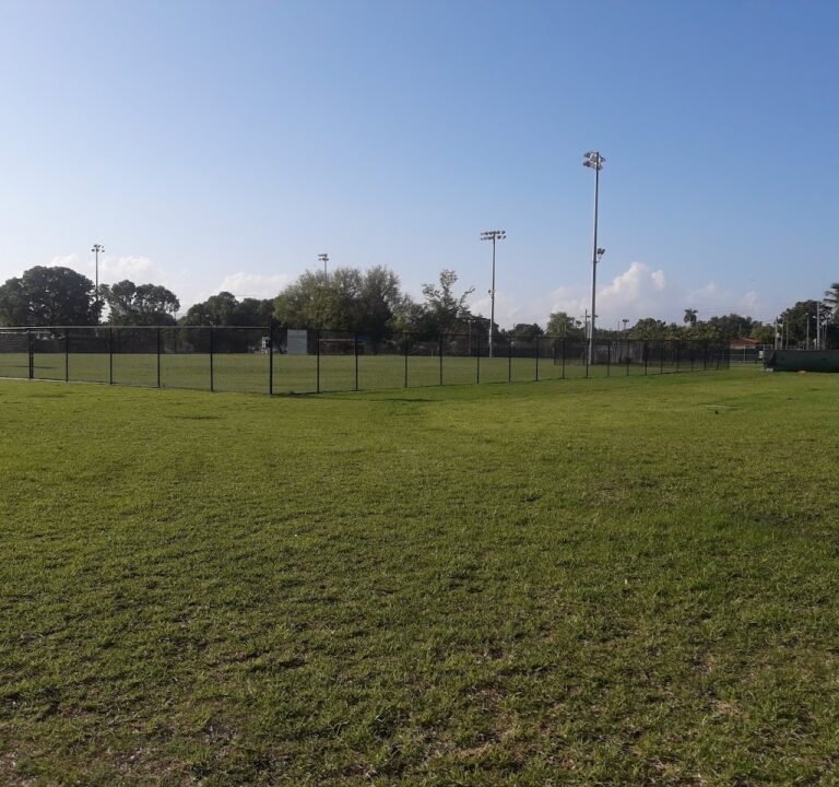 Soccer Field image 2