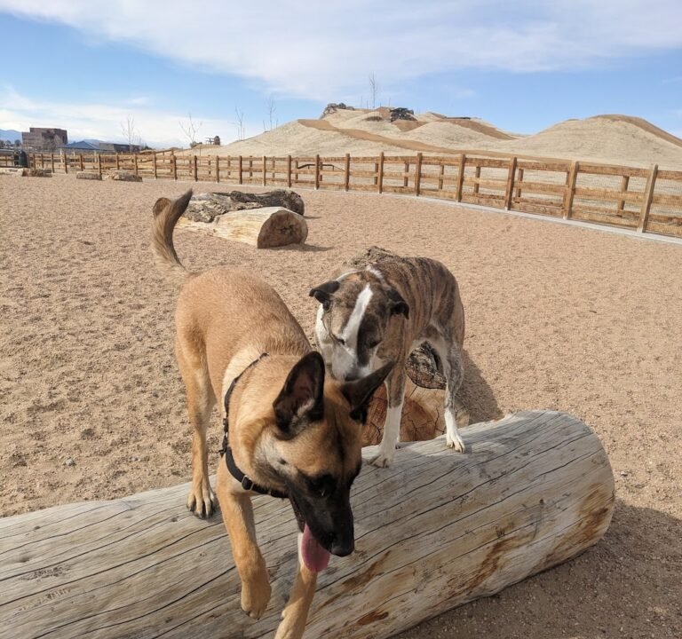 Soccer Field image 3