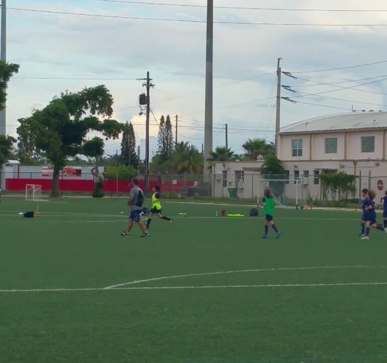 Soccer Field image 4