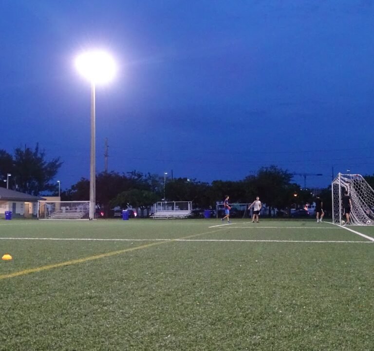 Soccer Field image 2