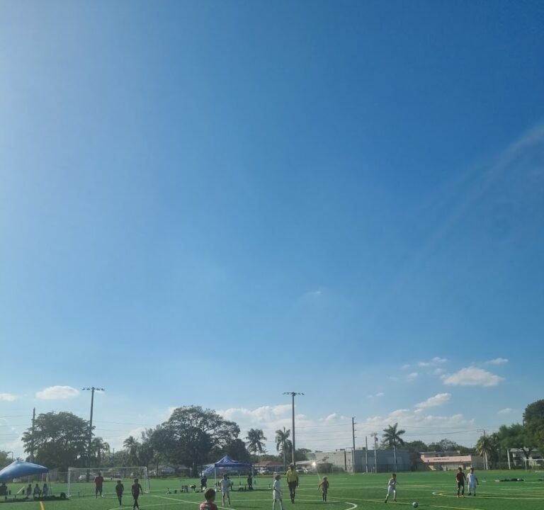 Soccer Field image 3