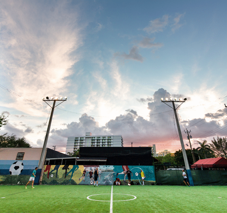 Soccer Field image 2