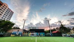 Soccer Field image 1