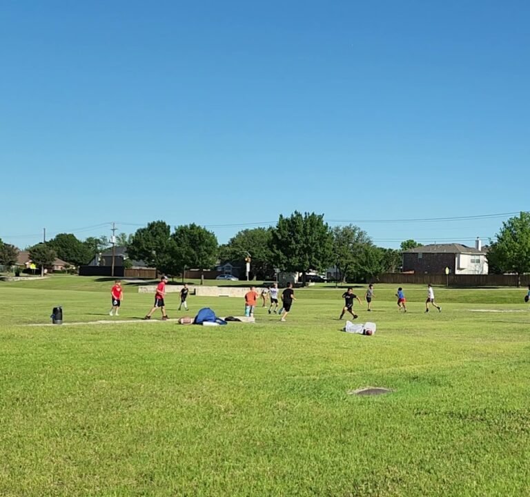 Soccer Field image 2