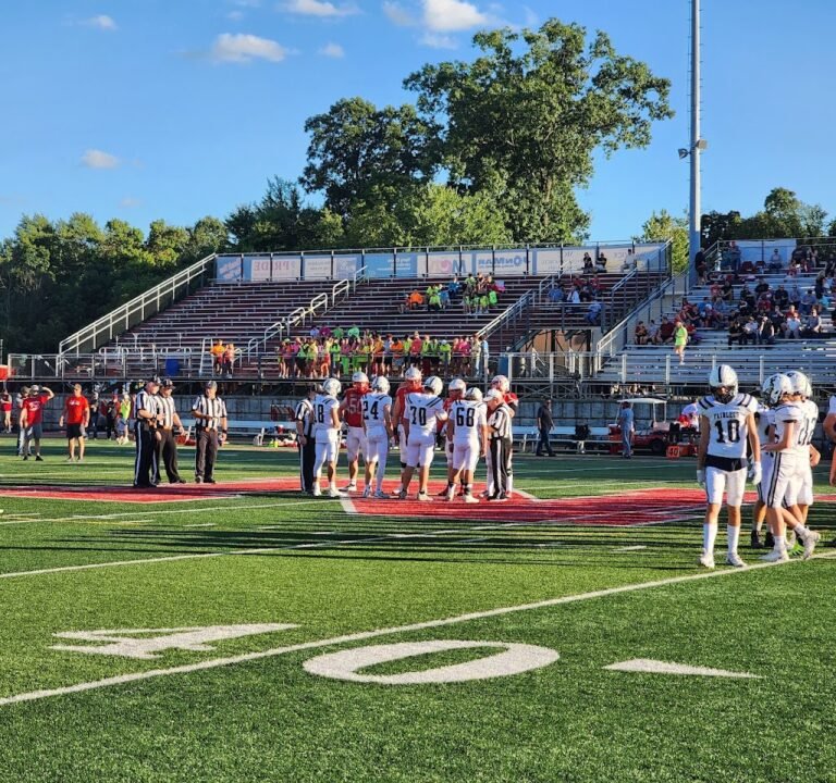 Soccer Field image 2