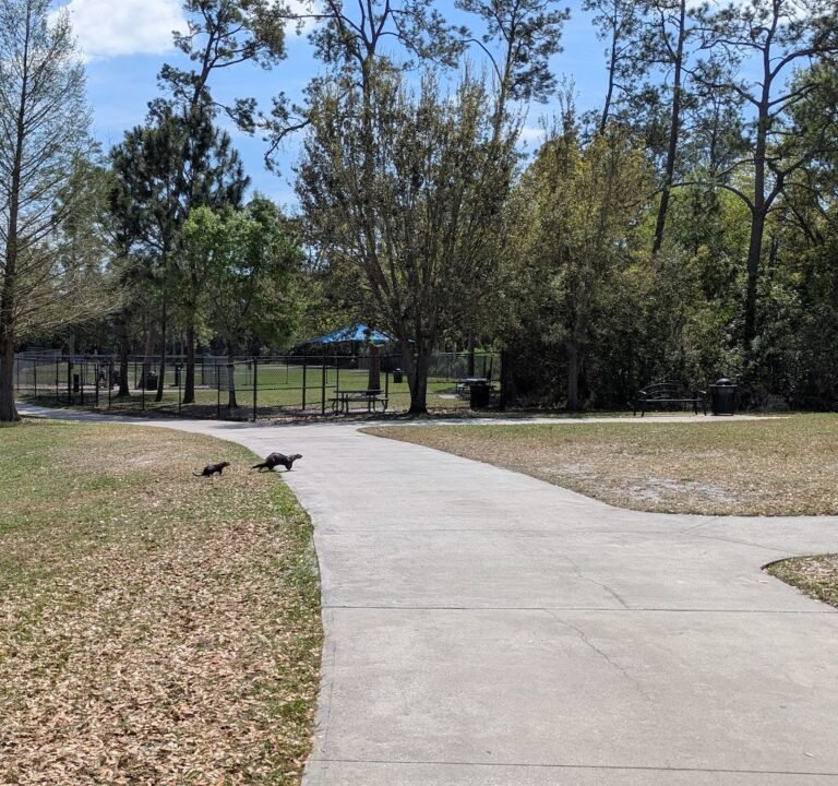 Soccer Field image 3