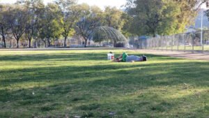 Soccer Field image 1