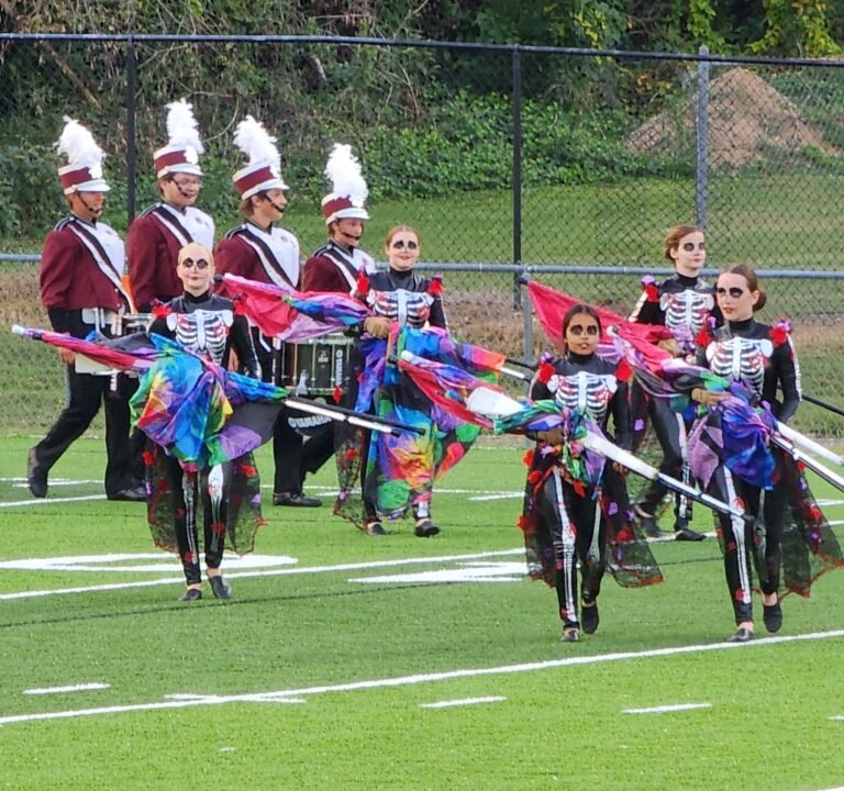 Soccer Field image 2