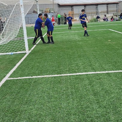 Soccer Field image 1