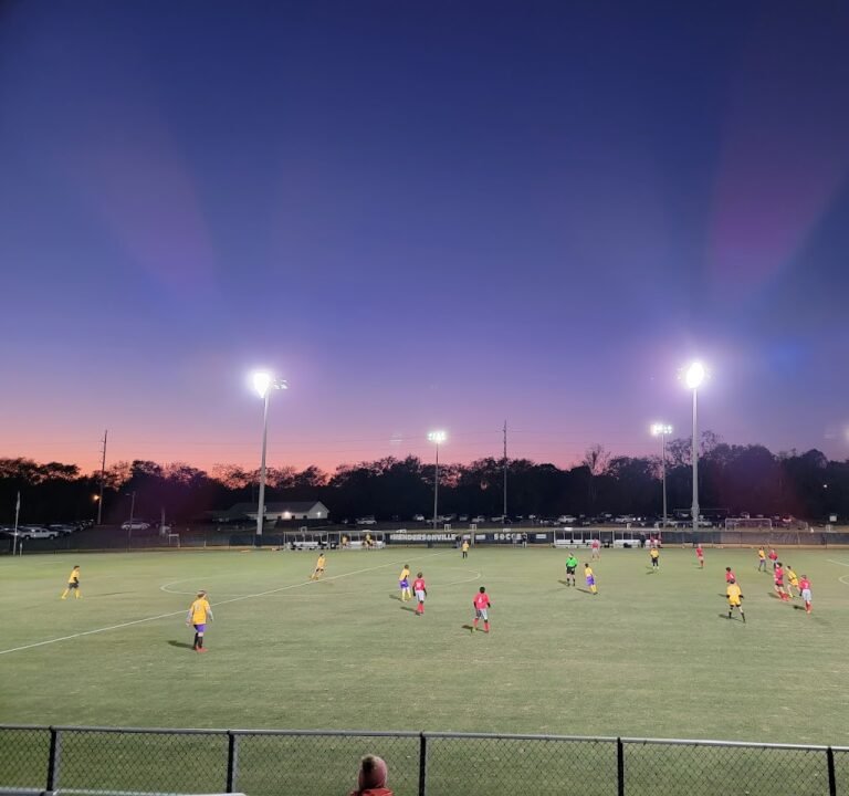 Soccer Field image 2