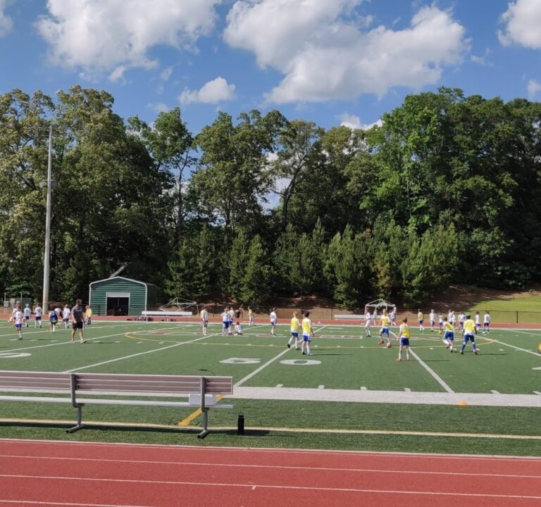 Soccer Field image 2