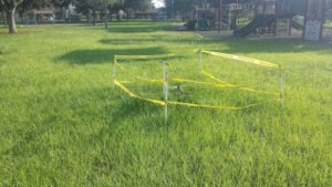 Soccer Field image 1