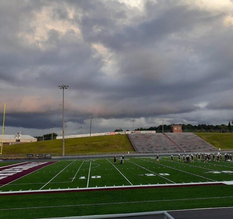 Soccer Field image 2