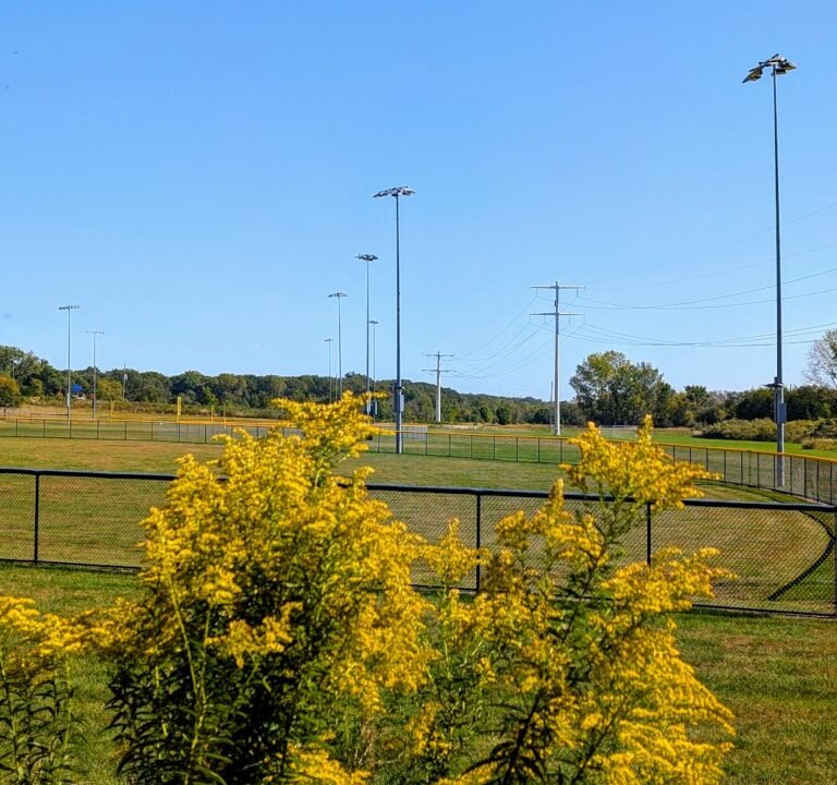 Soccer Field image 2