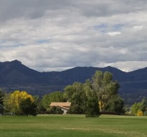Soccer Field image 4