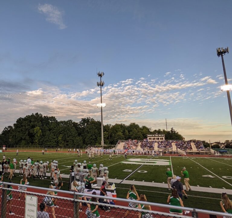 Soccer Field image 2
