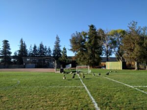 Soccer Field image 1