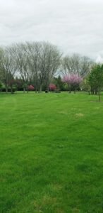 Soccer Field image 1