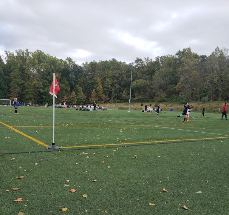 Soccer Field image 3