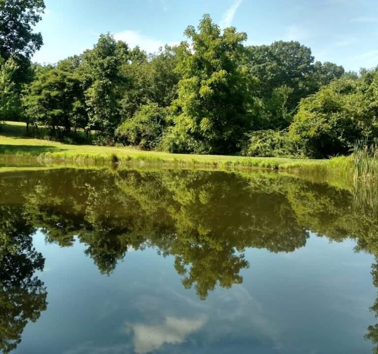 Soccer Field image 2