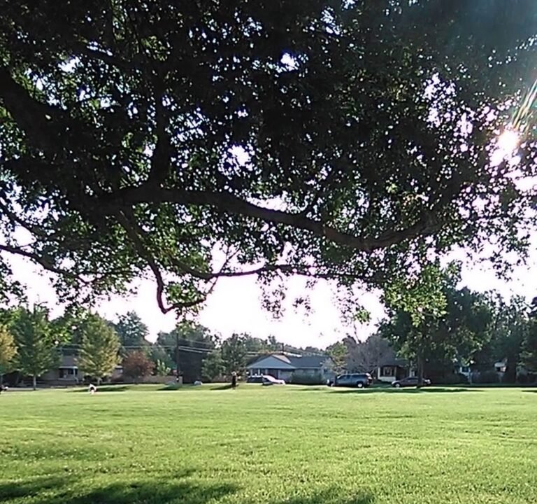 Soccer Field image 4