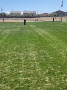 Soccer Field image 1