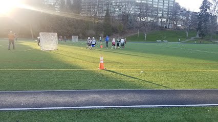 Soccer Field image 1