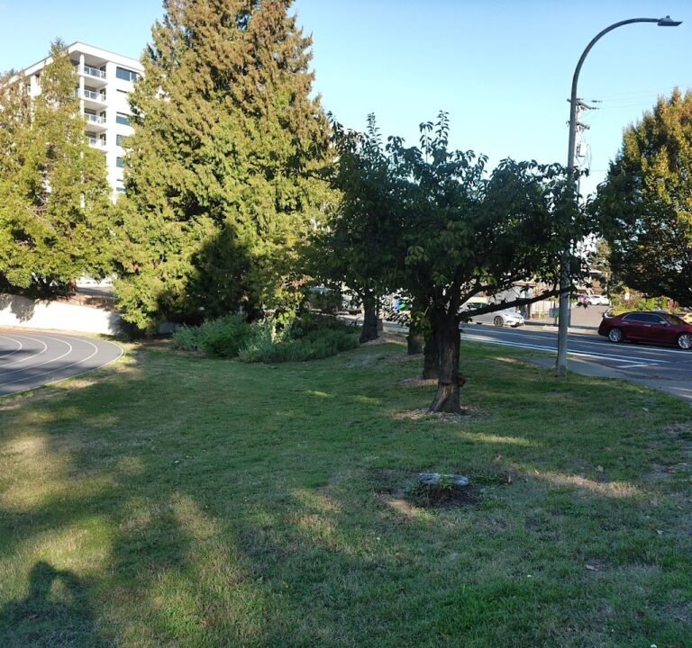 Soccer Field image 2