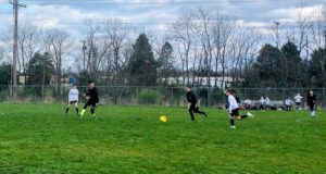 Soccer Field image 1
