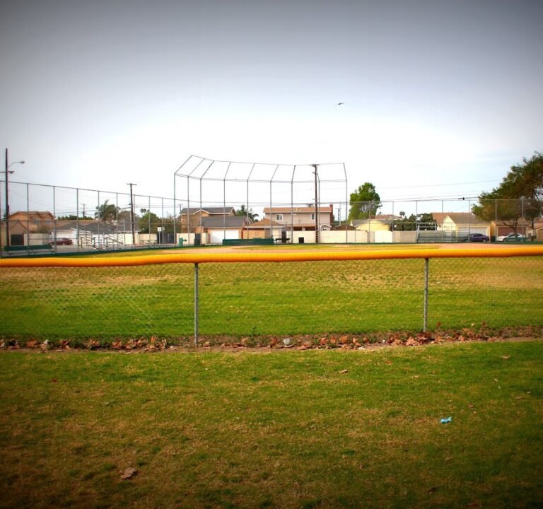 Soccer Field image 2