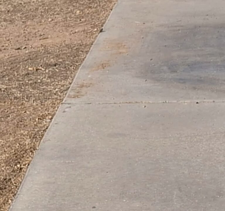 Soccer Field image 3