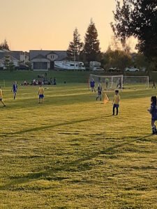 Soccer Field image 1