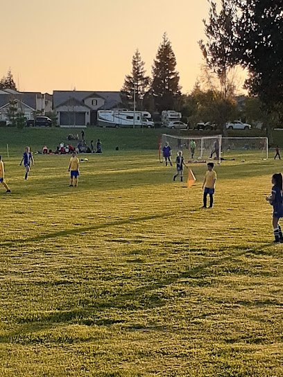 Soccer Field image 1