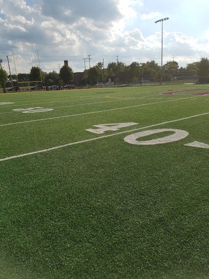 Soccer Field image 1