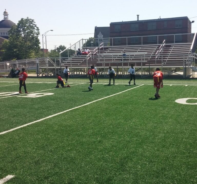 Soccer Field image 2