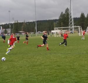 Soccer Field image 3