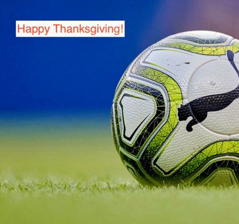 Soccer Field image 3