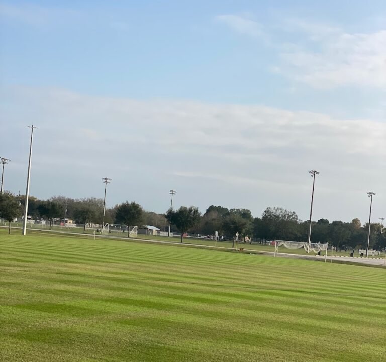 Soccer Field image 2